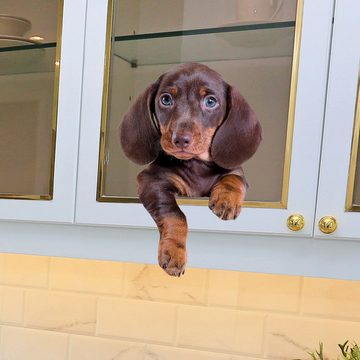 AUKUU Wandtattoo 20*30cm Große Ohren Hund Tier elektrostatische, Fensteraufkleber Fensterglasaufkleber Wandaufkleber doppelseitige