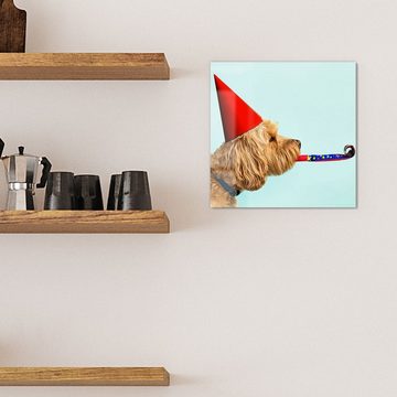 DEQORI Magnettafel 'Hund mit Partyaccessoires', Whiteboard Pinnwand beschreibbar