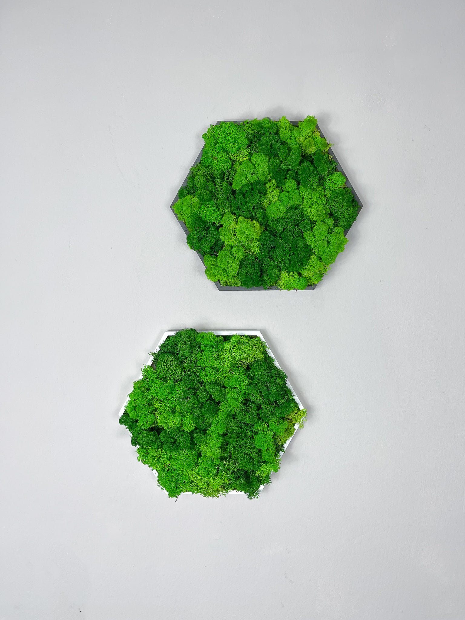 Gedankenwunder Manufaktur Bild mit Rahmen Islandmoos Farbkombi Moosbild Hex günstig online kaufen