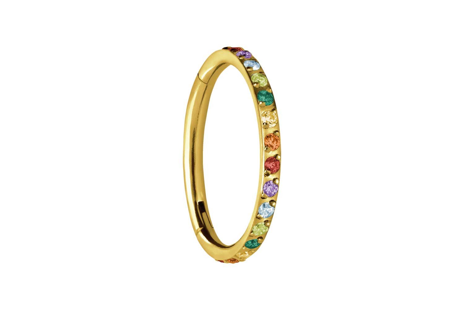 Nasenpiercing Titan Segmentring Clicker EINGEFASSTE BUNTE KRISTALLE Ohrpiercing