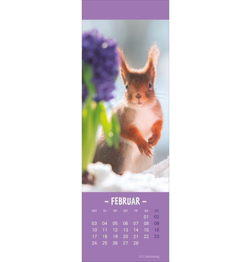 HEYE Tierkalender Eichhörnchen Lesezeichen & Kalender 2025