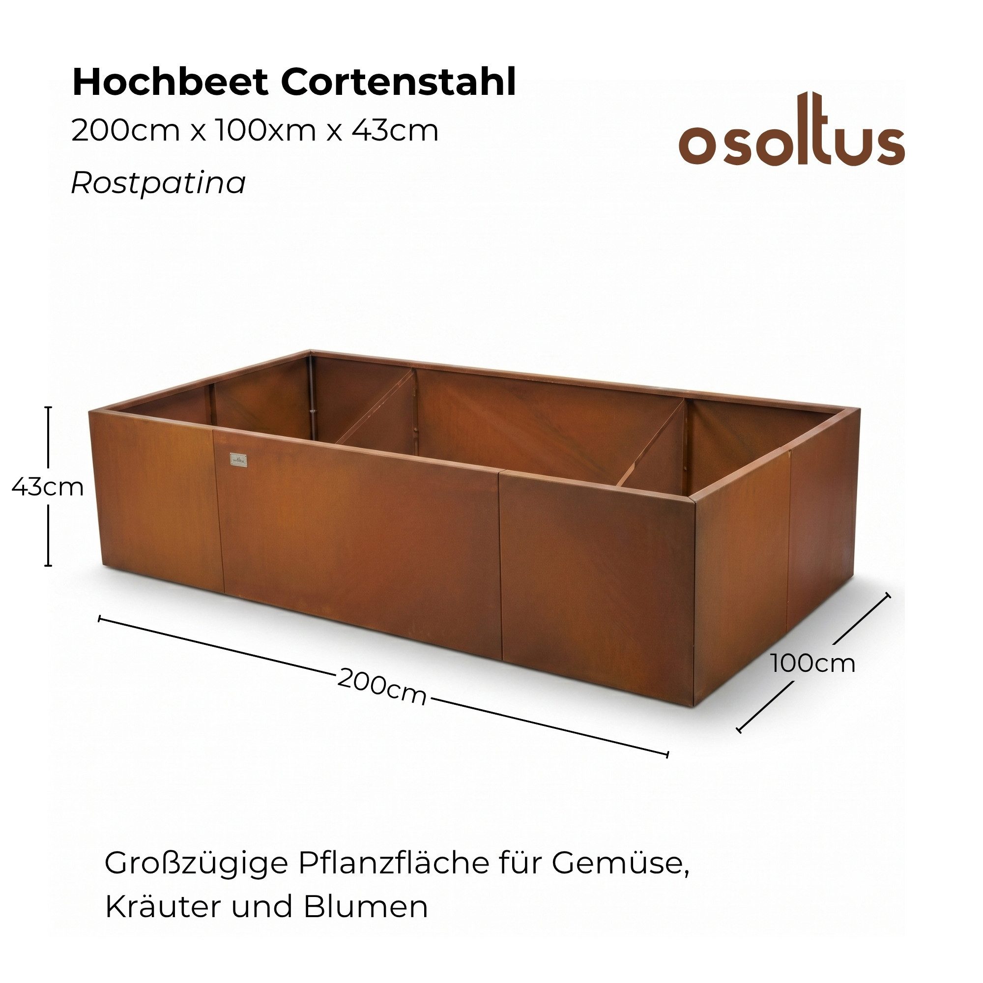 osoltus Hochbeet-Profil osoltus Pflanzkübel Hochbeet 200x100x43cm Corten-Stahl Schilfgras – Bild 3 von 5