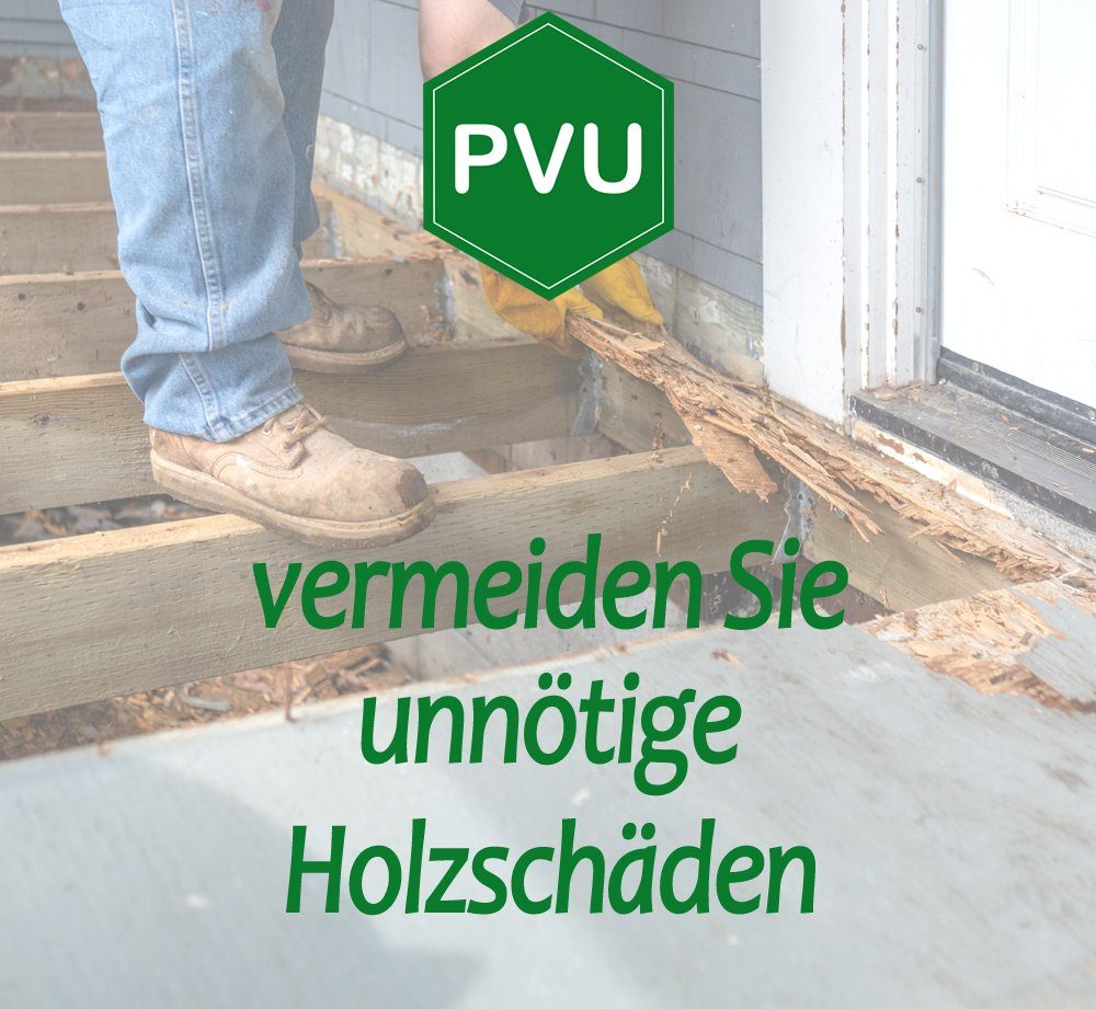 in 1x2 farblos, geruchsarm Deutschland, Liter Holzwurm-Spray PVU formuliert + Sprüher Holzwurm-Ex gegen Holzschädlinge,