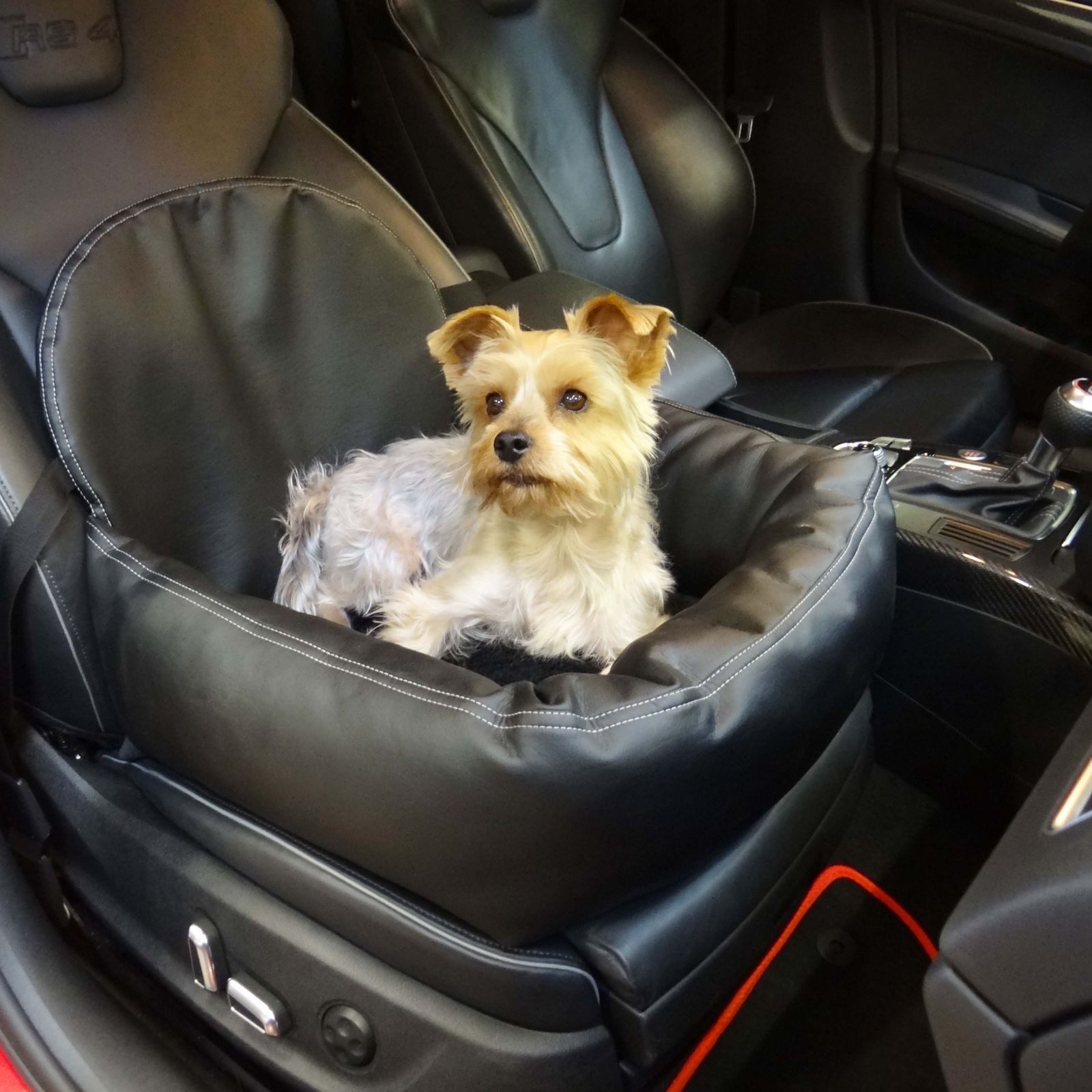 Hossi's Wholesale Tierbett Hundesitz Leder Autositz Sicherheitsgurt Renault Twizy Kissen Korb