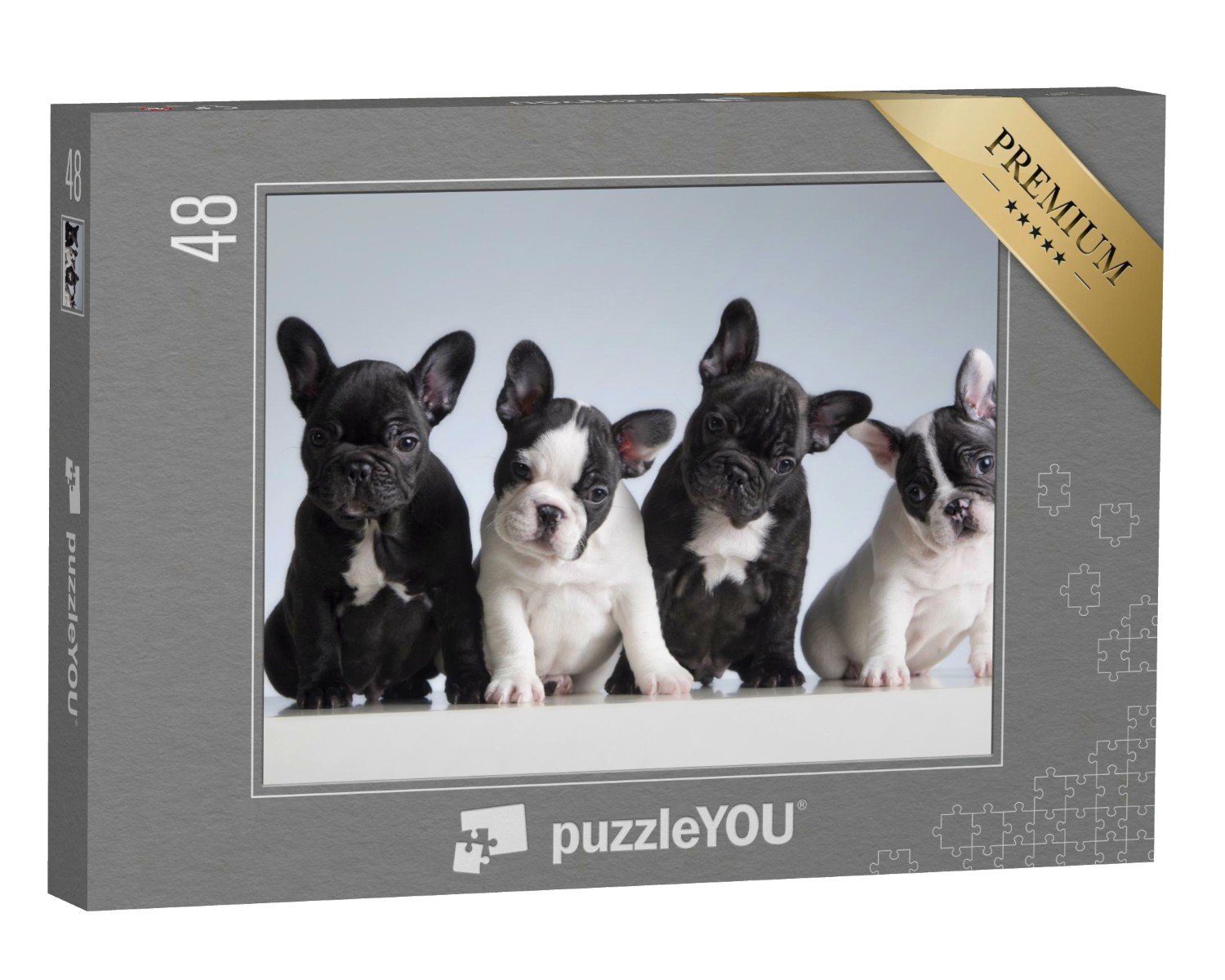 puzzleYOU-Kollektionen 48 Bulldoggen, Puzzleteile, Vier Buldogge französische puzzleYOU Puzzle
