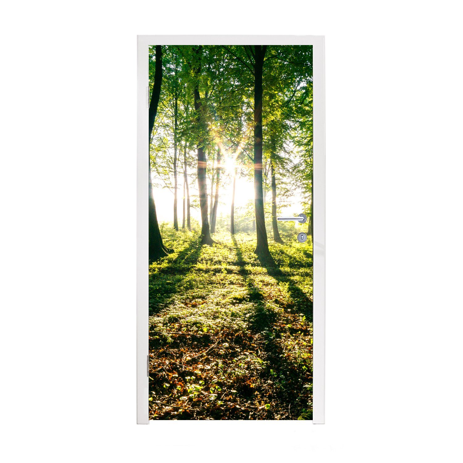 MuchoWow Türtapete Die Sonne bricht durch die Wälder des Nationalparks Söderåsen in, Matt, bedruckt, (1 St), Fototapete für Tür, Türaufkleber, 75x205 cm