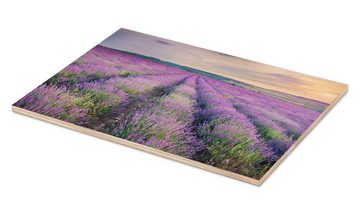 Posterlounge Holzbild Editors Choice, Lavendel im Sonnenuntergang, Mediterran Fotografie