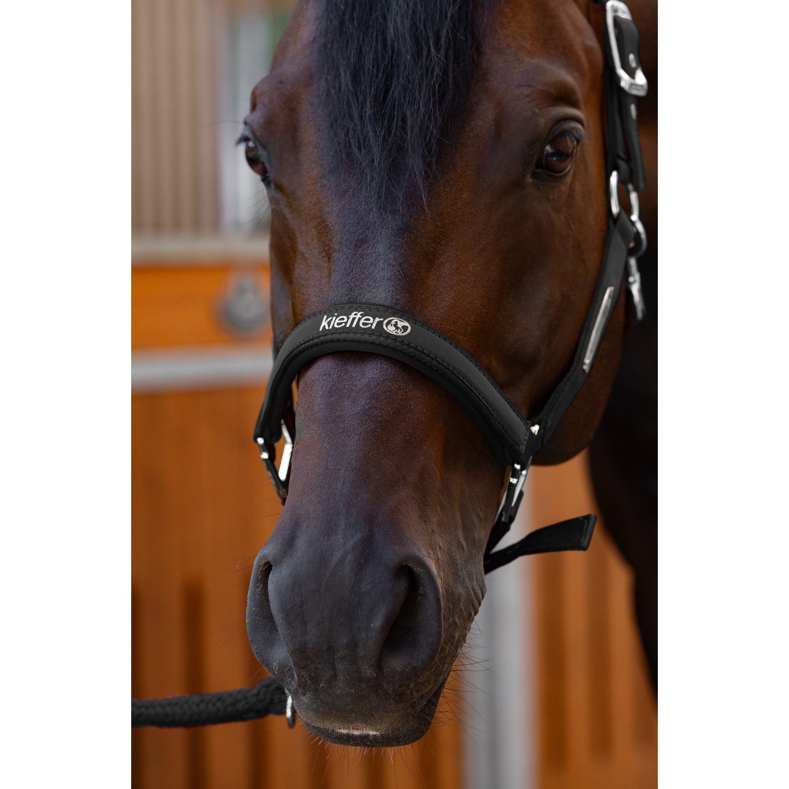 Kieffer Halfter Nylonhalfter unterlegt, Stallhalfter Satin Shine, Schwarz, Warmblut, Nylon
