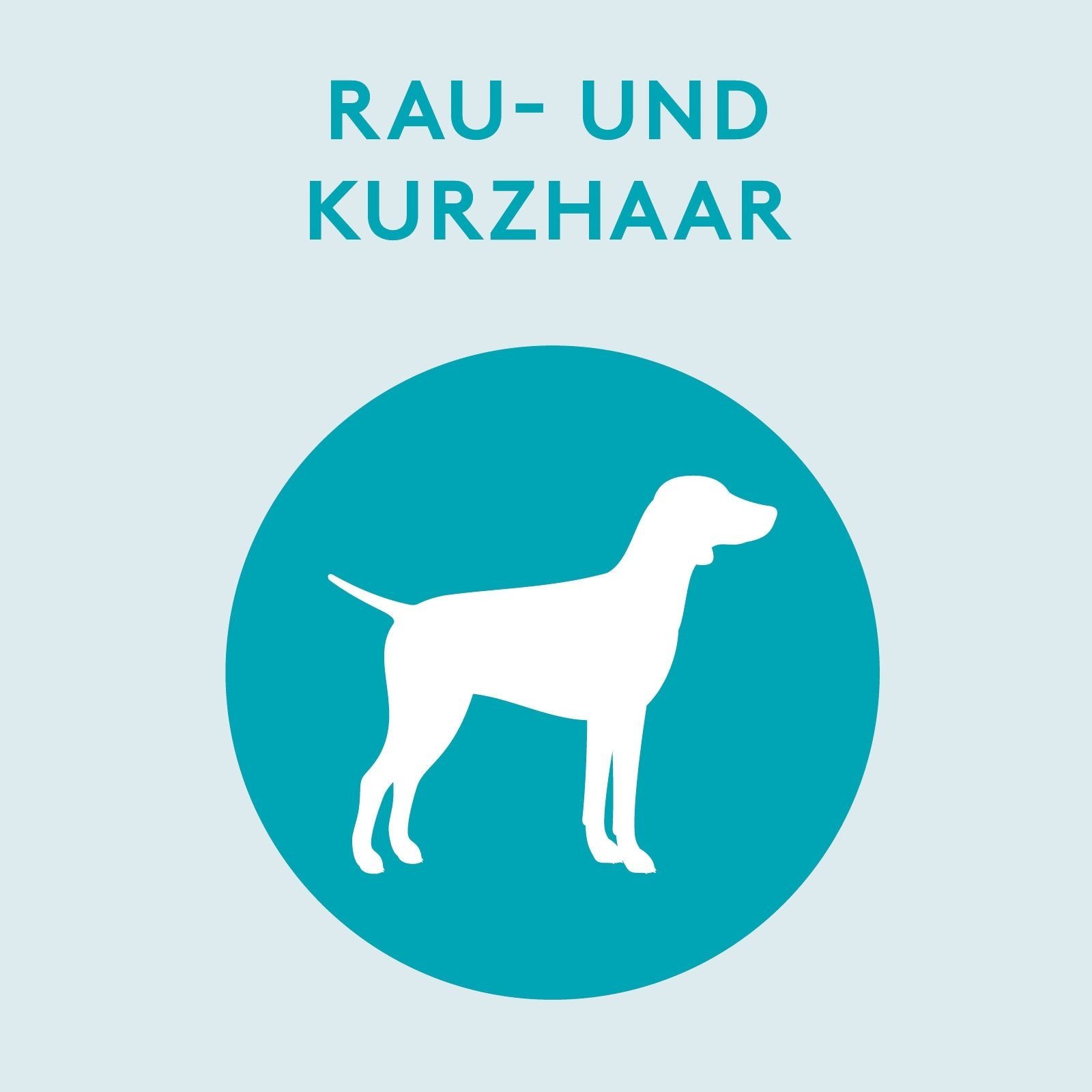 Tierfee Tiershampoo Ökologisches Hunde-Shampoo für Rau- und Kurzhaar 250 ml, 250 ml, ökologisch, vegan