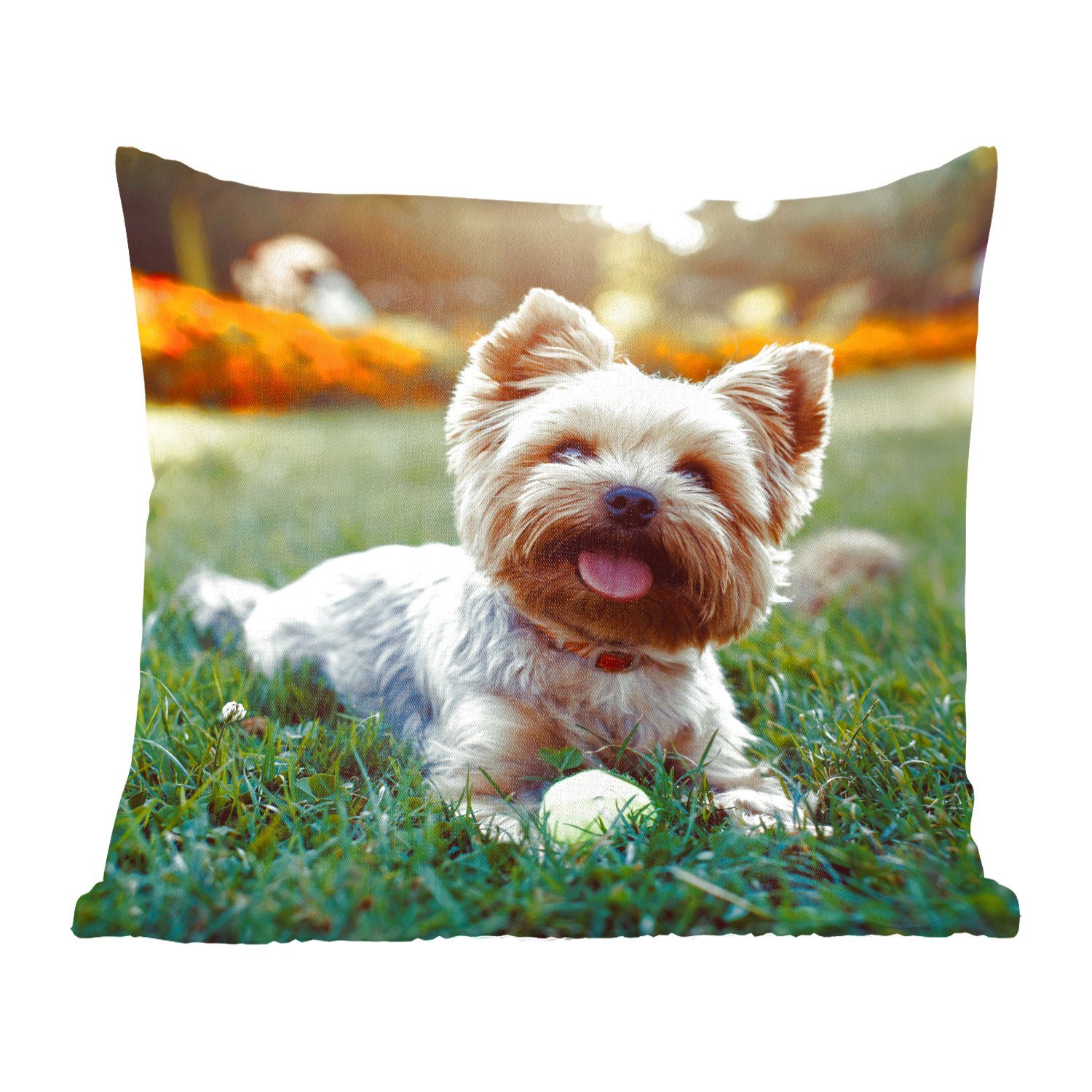 MuchoWow Dekokissen Yorkshire Terrier im Gras liegend, Zierkissen mit Füllung für Wohzimmer, Schlafzimmer, Deko, Sofakissen