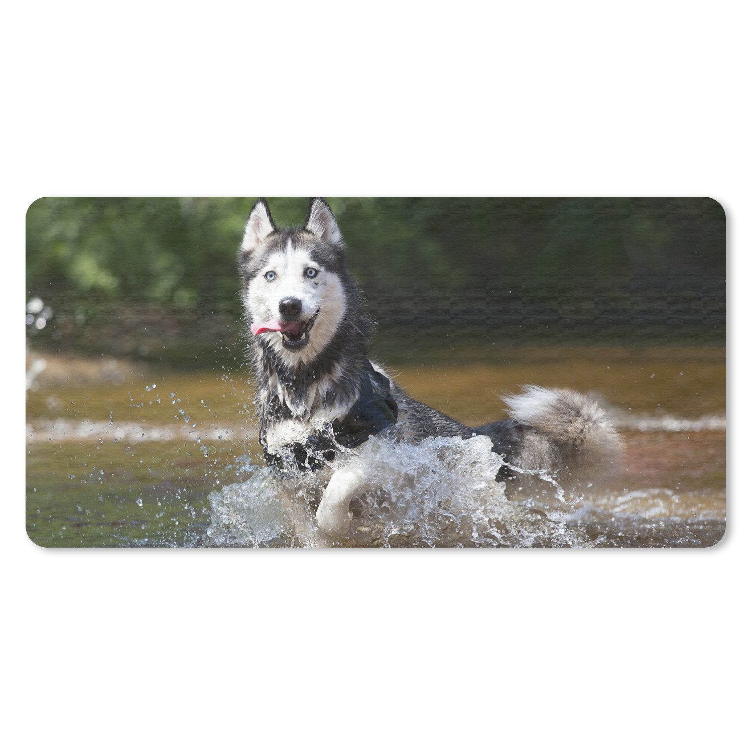 MuchoWow Mauspad Husky im Wasser (1-St), Mousepad mit Rutschfester Unterseite, Mausunterlage, Gaming, 60x30 cm