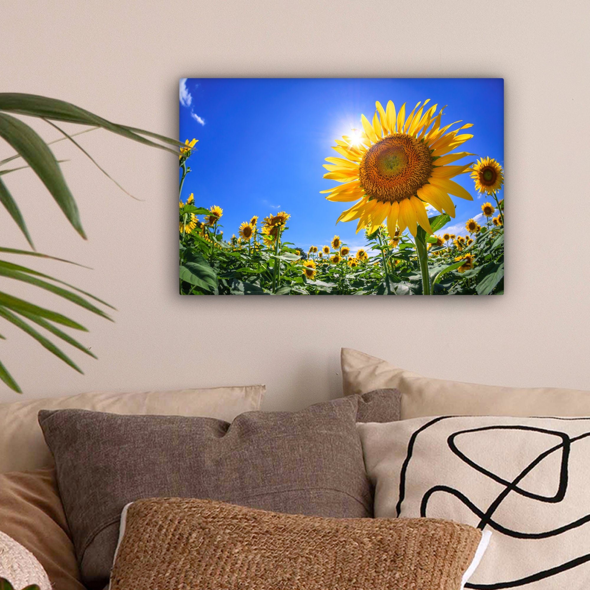 Wandbild Aufhängefertig, Wanddeko, St), (1 Leinwandbilder, von OneMillionCanvasses® 30x20 gesehen, Sonnenblumenfeld unten Leinwandbild cm