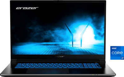 Medion® ERAZER Scout E30 Gaming-Notebook (43,9 cm/17,3 Zoll, Intel Core i7 13620H, GeForce RTX 4050, 1000 GB SSD)