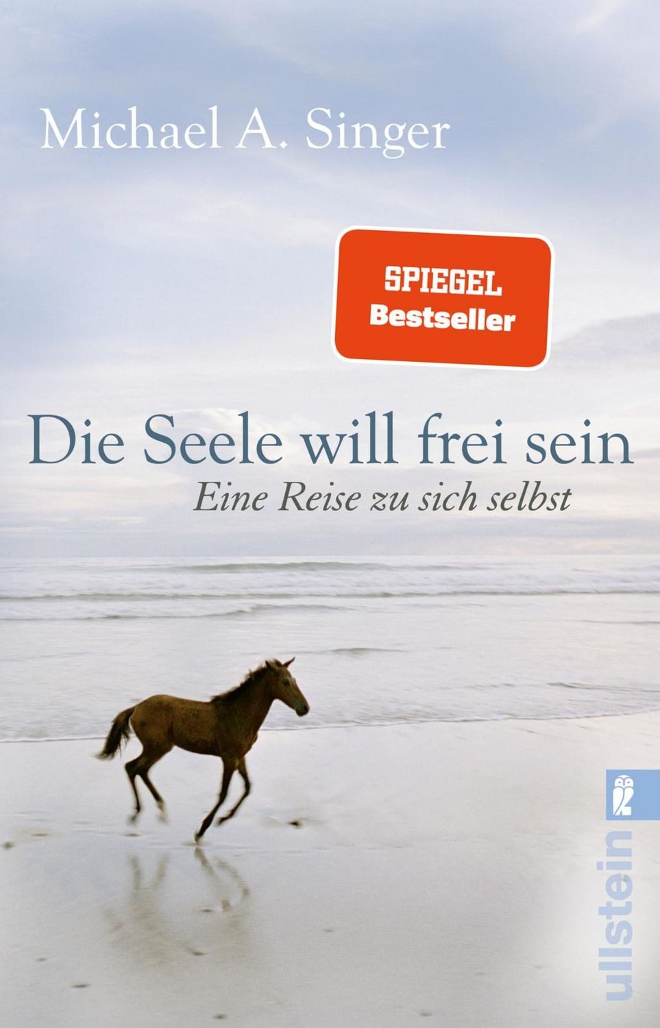 Die Seele will frei sein / Michael A. Singer