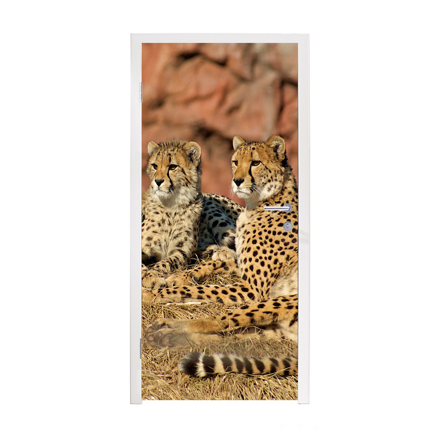 MuchoWow Türtapete Gepardenmutter und -junge, Matt, bedruckt, (1 St), Fototapete für Tür, Türaufkleber, 75x205 cm