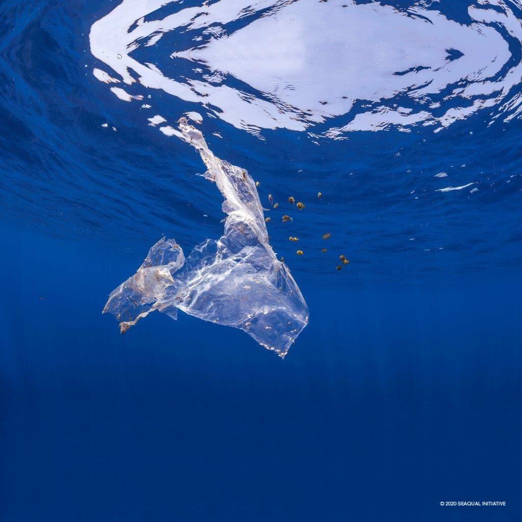 Bio POLOLO aus Upcycling-Meeresplastik, Seaqual, Hausschuh Baumwolle Kinderschuhe Anker