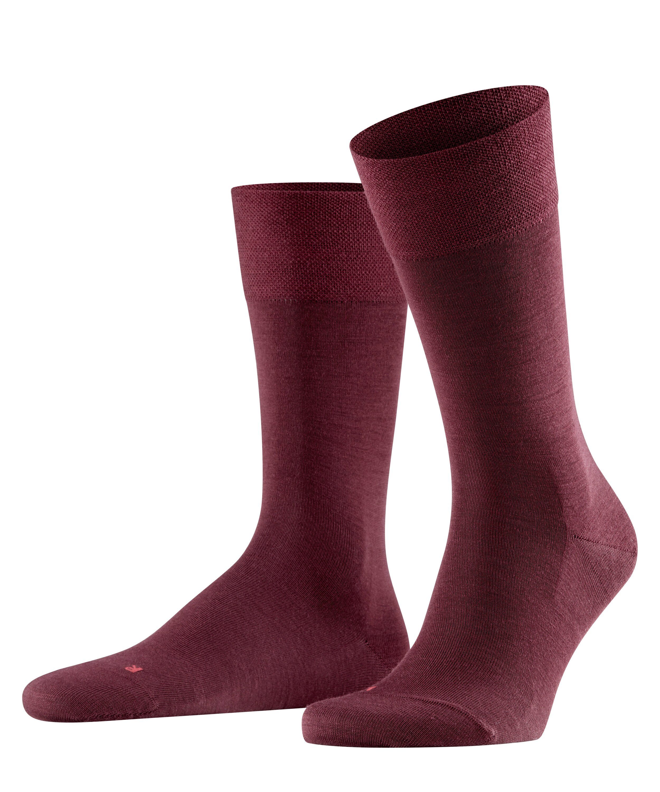 barolo (8596)