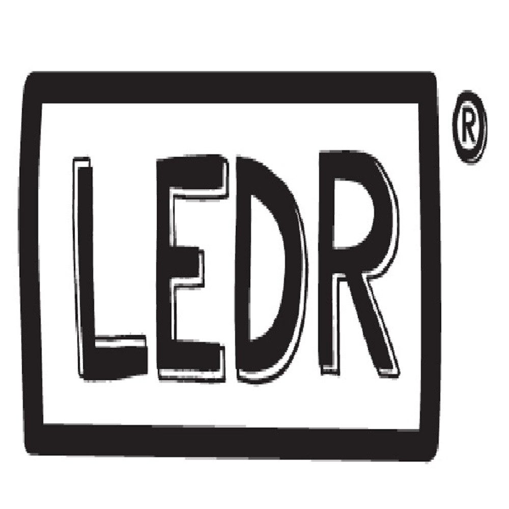 LEDR