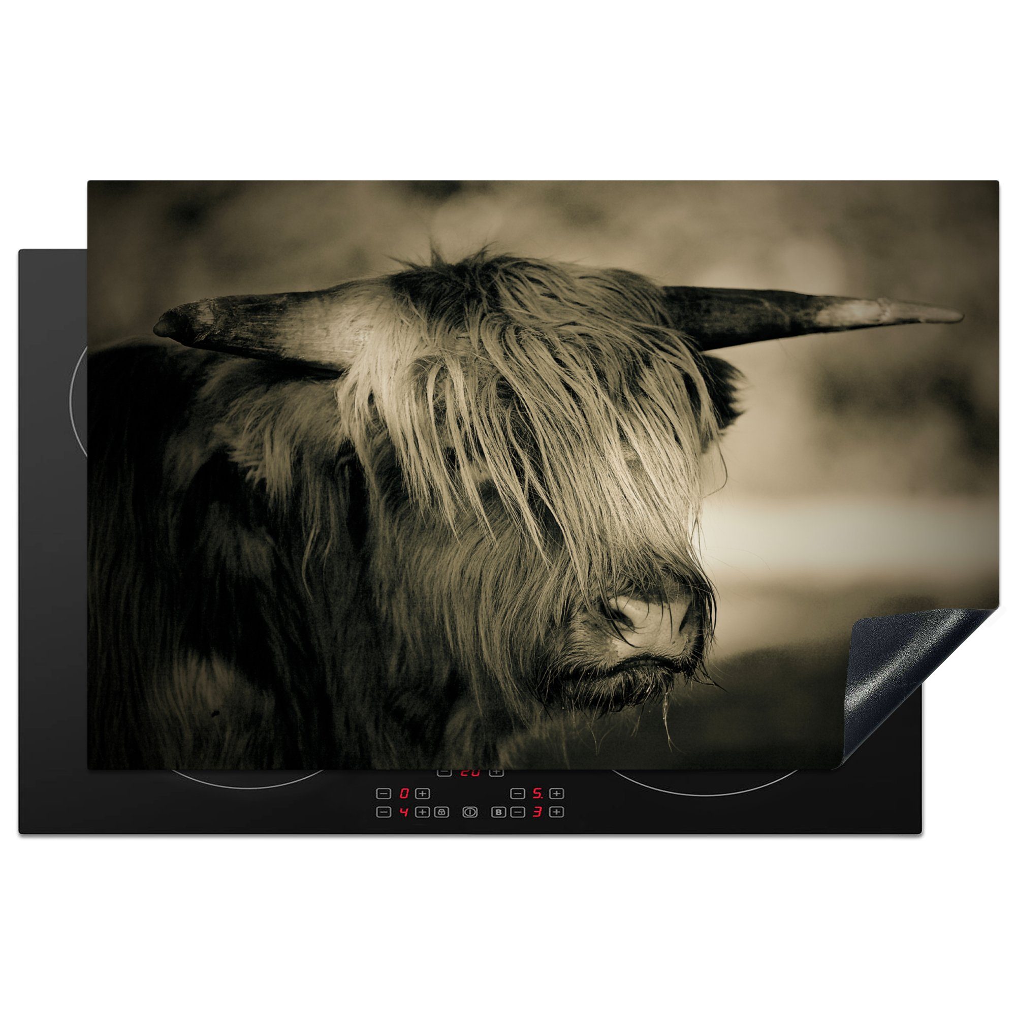 MuchoWow Herdblende-/Abdeckplatte Schottischer Highlander - Tiere - Haare, Vinyl, (1 tlg), 81x52 cm, Induktionskochfeld Schutz für die küche, Ceranfeldabdeckung