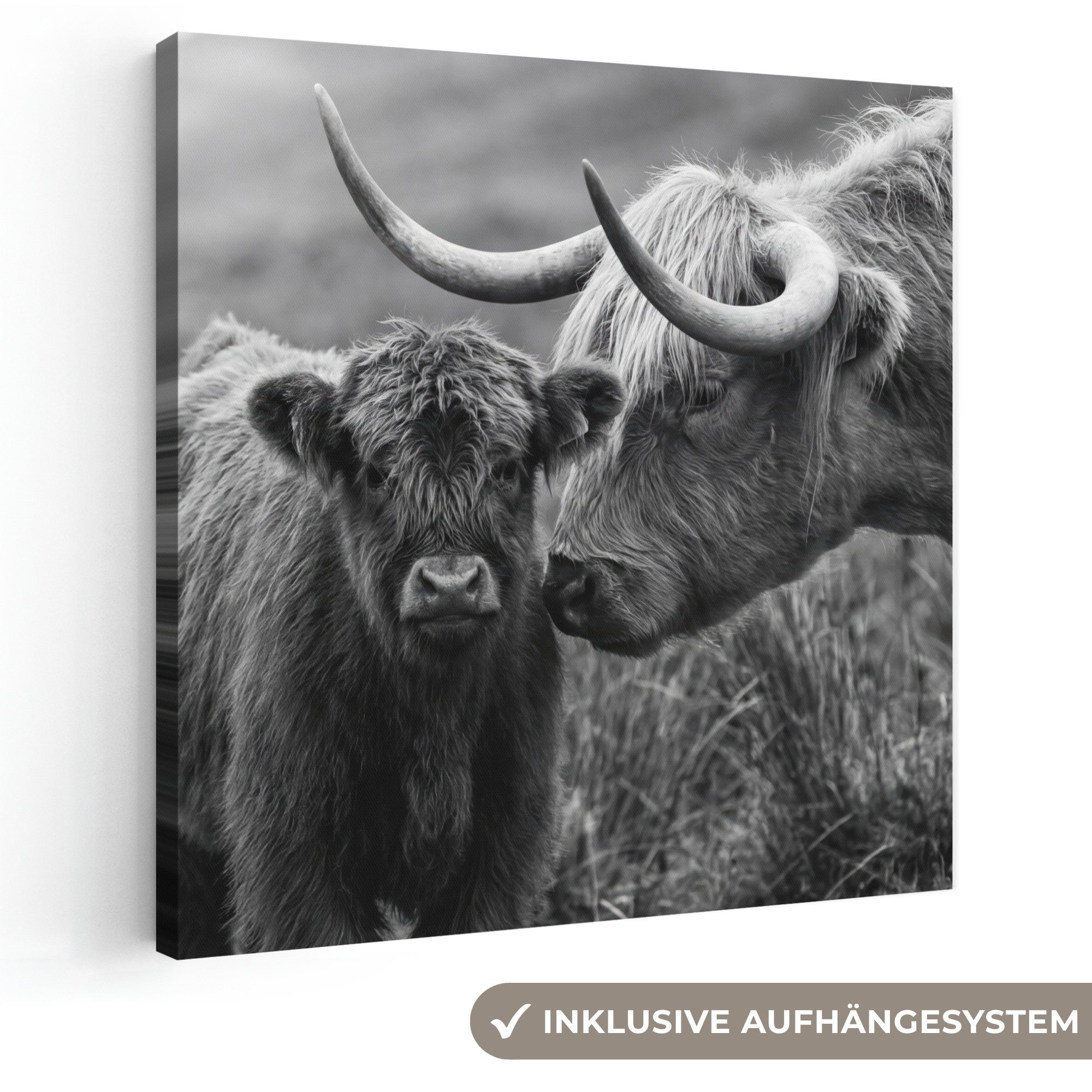 OneMillionCanvasses® Leinwandbild Schottischer Highlander - Kalb - Schwarz - Weiß, Fotodruck (1 St), Wandbild, Deko Schlafzimmer Wohnzimmer Flur 20x20 cm