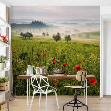 Bilderdepot24 Fototapete Mohnblumen Toskana Wiese Nebel Floral Blumen Natur Wanddeko Grün, Glatt, Matt, (Vliestapete inkl. Kleister oder selbstklebend), Wohnzimmer Schlafzimmer Küche Flur Motivtapete Vliestapete Wandtapete