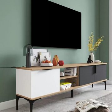 JVmoebel Lowboard Lowboard RTV TV-Stand Modern Design Holz Material Luxus Design (1 St., TV-Lowboard), Made in Europa