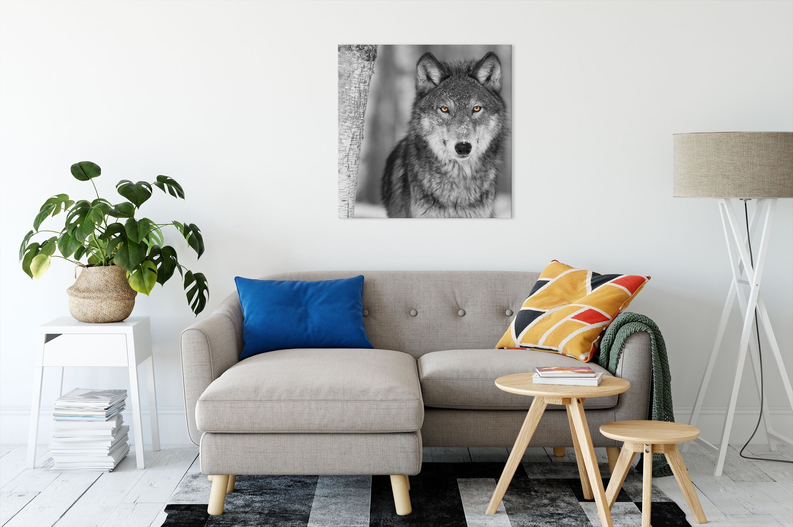 Leinwandbild Pixxprint wachsamer (1 fertig wunderschöner bespannt, Zackenaufhänger wachsamer Wolf, Wolf St), wunderschöner inkl. Leinwandbild