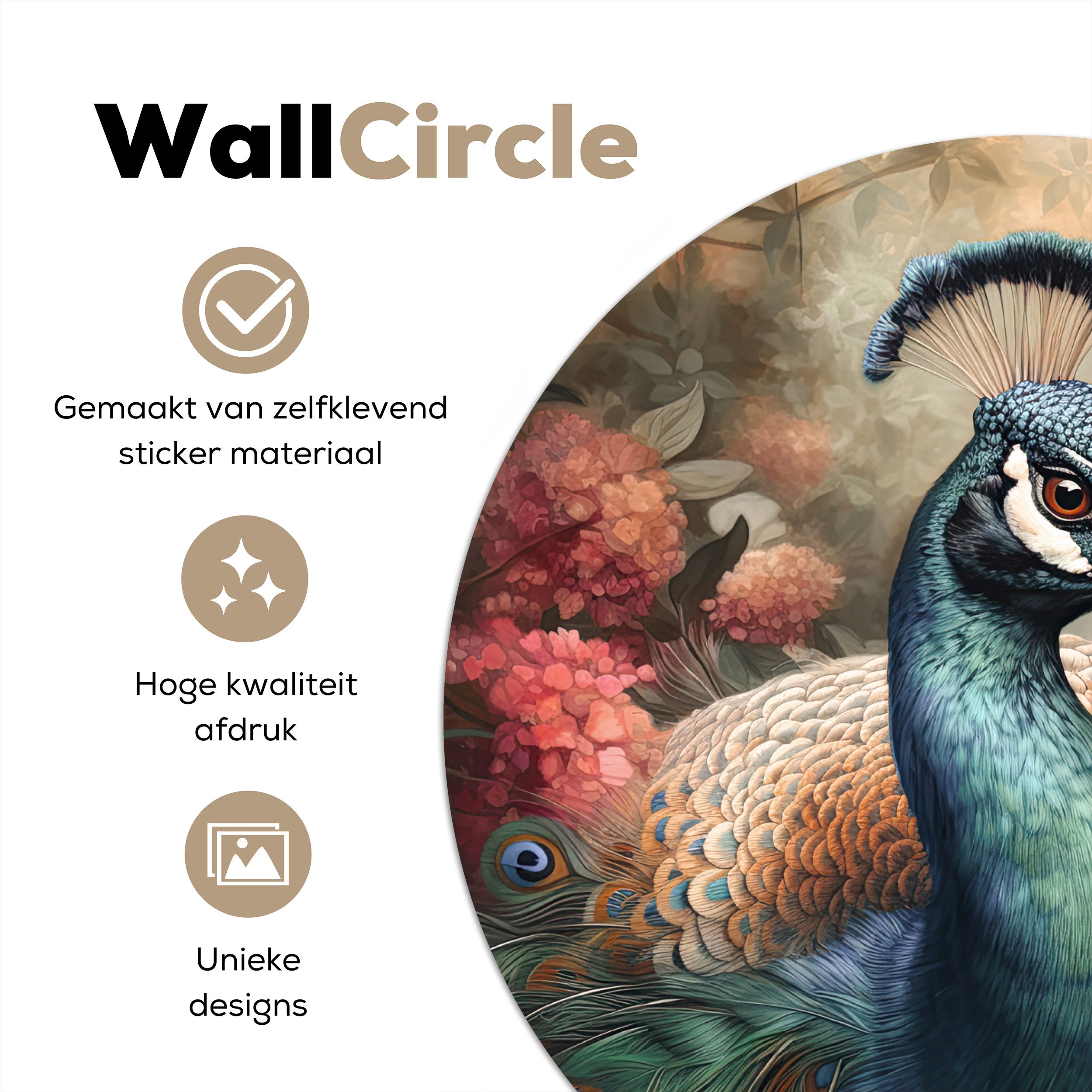 MuchoWow Wandsticker Pfau - Vogel - Pflanzen - Pfauenfedern (1 St), Wandtat günstig online kaufen