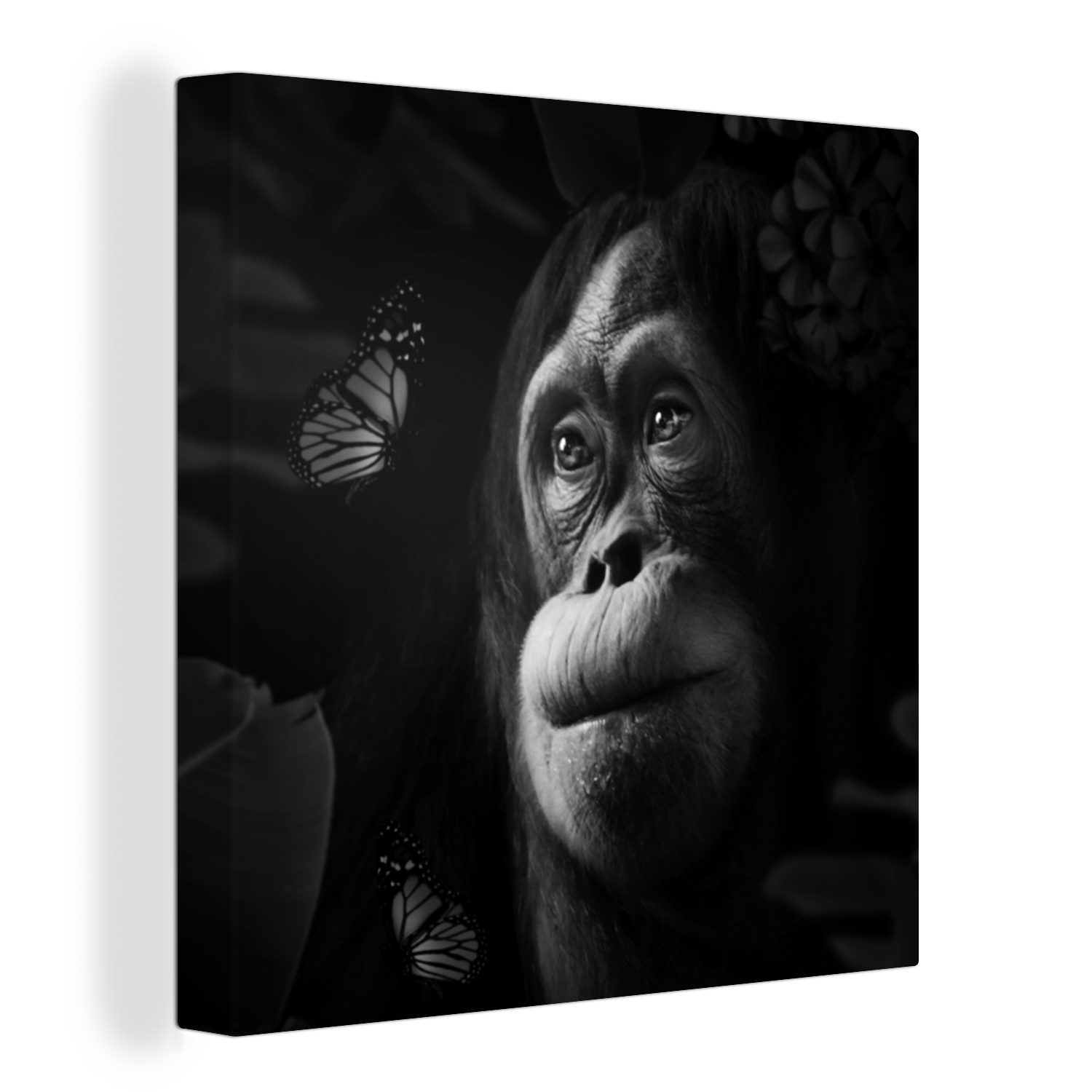 OneMillionCanvasses® Leinwandbild Schmetterling - Affe - Dschungel - Schwarz - Weiß, (1 St), Leinwand Bilder für Wohnzimmer Schlafzimmer