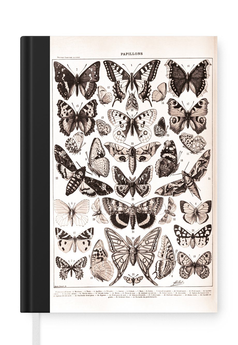 MuchoWow Notizbuch Tiere - Schmetterling - Schwarz - Weiß, Journal, Merkzettel, Tagebuch, Notizheft, A5, 98 Seiten, Haushaltsbuch