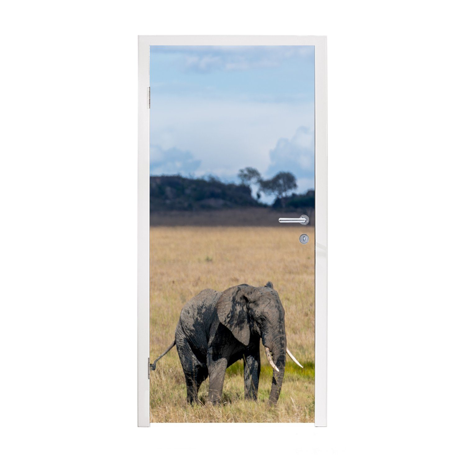 Natur, Matt, Elefant - Fototapete Gras Tür, bedruckt, Türtapete St), MuchoWow Türaufkleber, 75x205 für cm - - Tiere (1