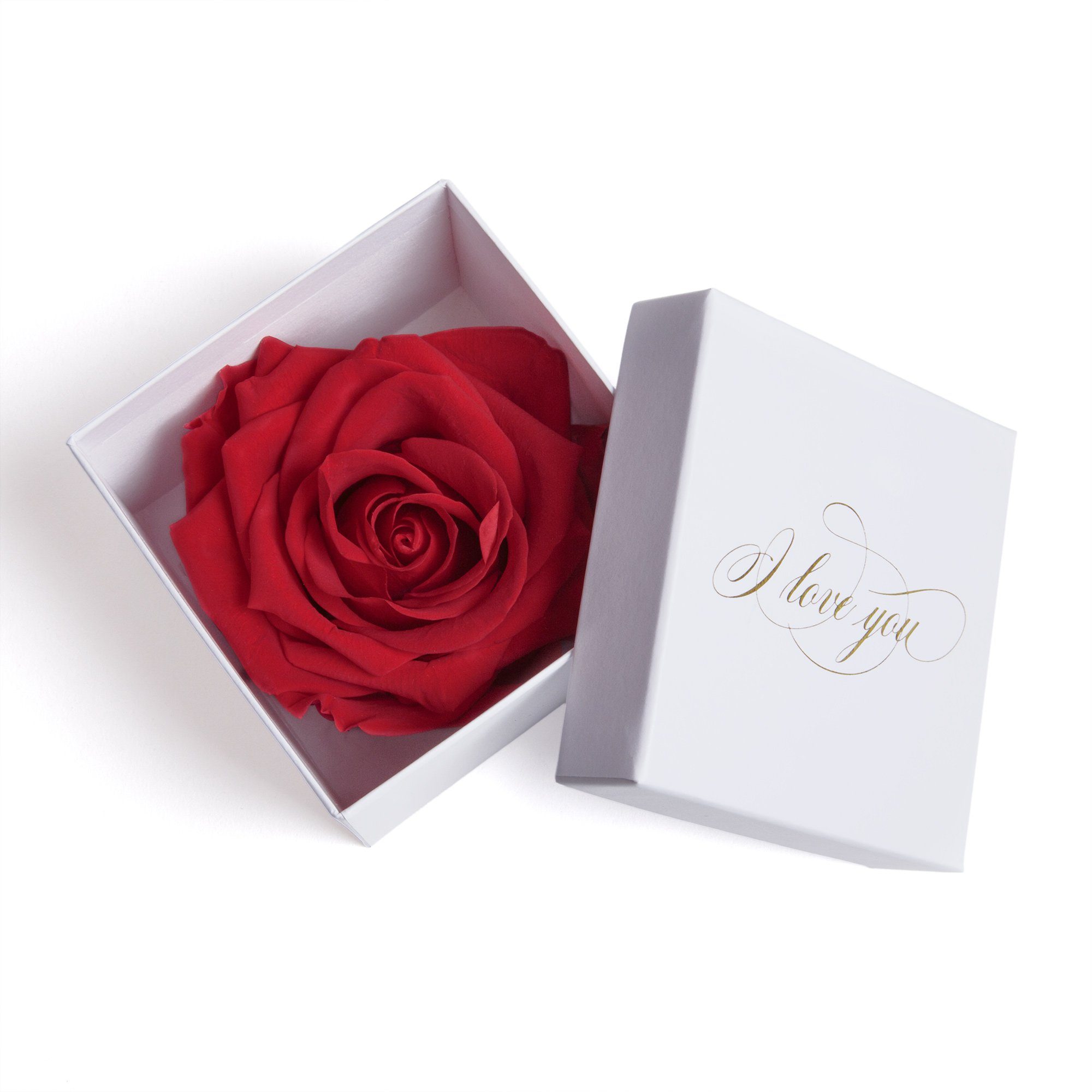 Kunstblume Infinity Rose in Box weiß I LOVE YOU Geschenk Frauen Liebesbeweis Valentinstag Rose, ROSEMARIE SCHULZ Heidelberg, Höhe 6 cm, Rose haltbar bis zu 3 Jahre rot