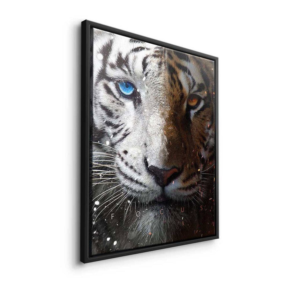 Tiger Face Leinwandbild, Rahmen Focus Rahmen Leinwandbild weißer DOTCOMCANVAS® mit premium