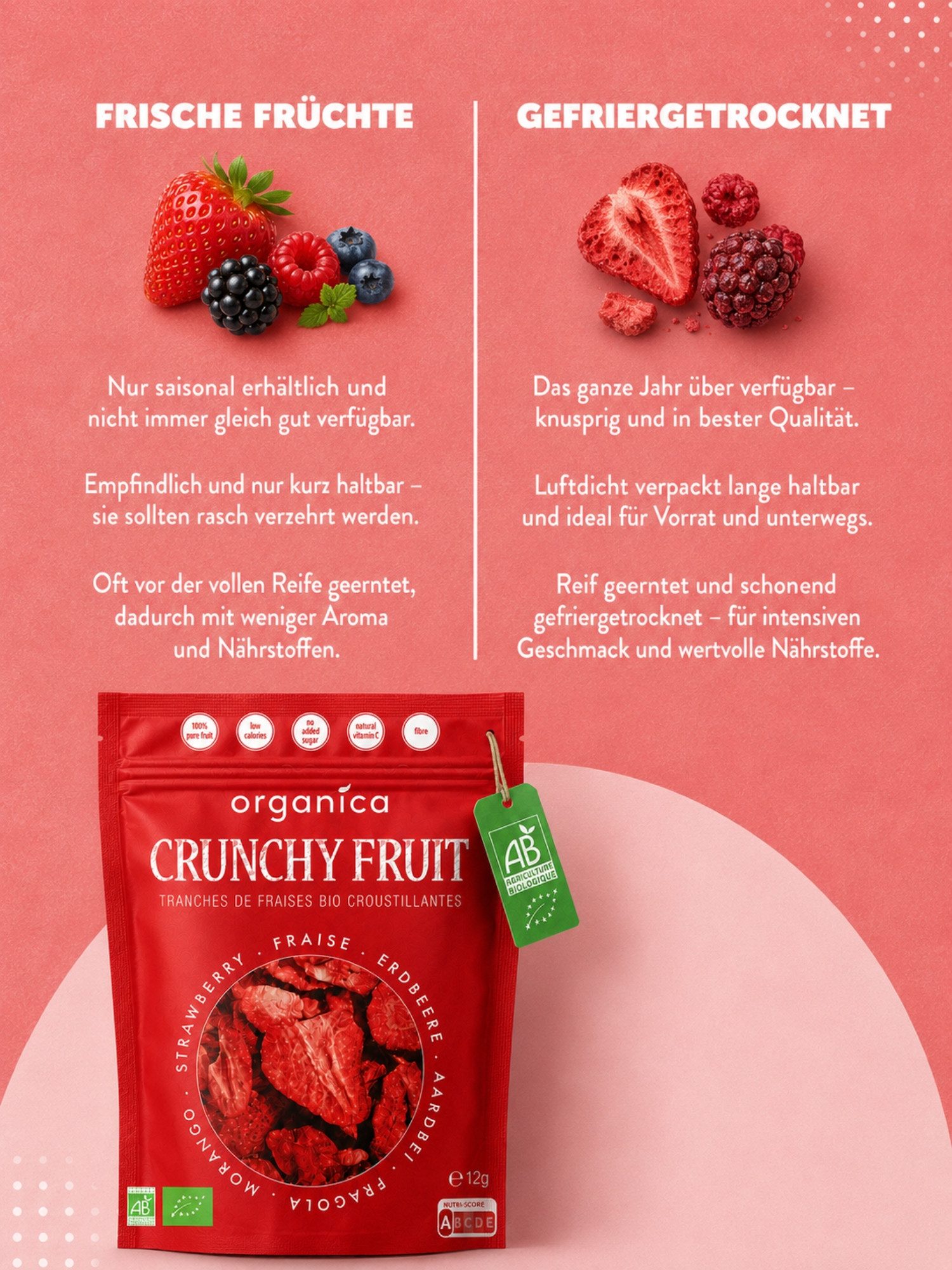 Organica Trockenfrüchte Gefriergetrocknete Bio-Erdbeeren, Erdbeerscheiben ungezuckert, 1 x (Family Pack 50g), Bio-zertifiziert, 100 % Frucht, Ohne Zuckerzusatz, – Bild 4 von 5