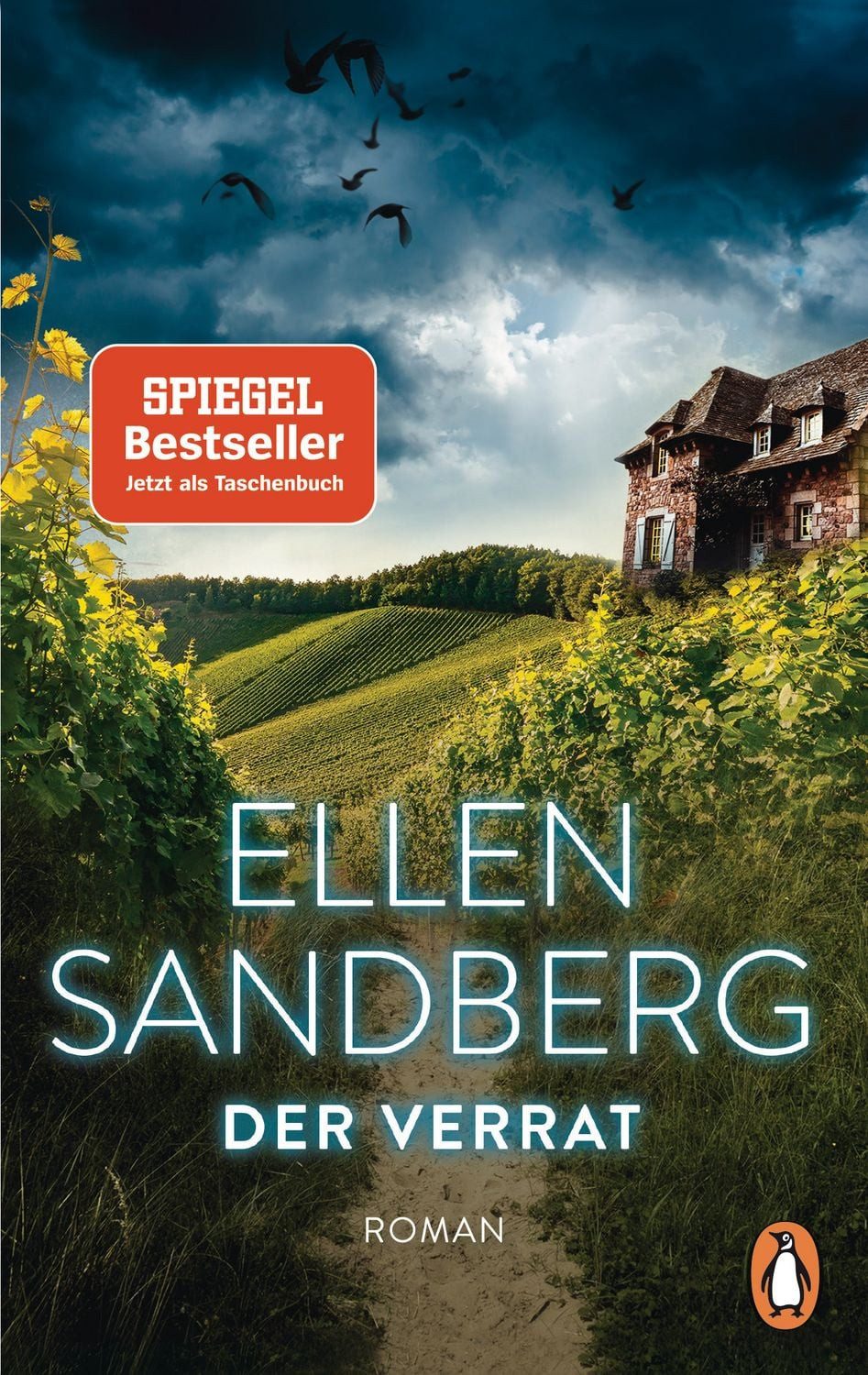 Der Verrat / Ellen Sandberg, Roman. »Schuld, Rache oder Vergebung? Psychologisch tiefgründig, absolut lesenswert!« Hamburger Morgenpost