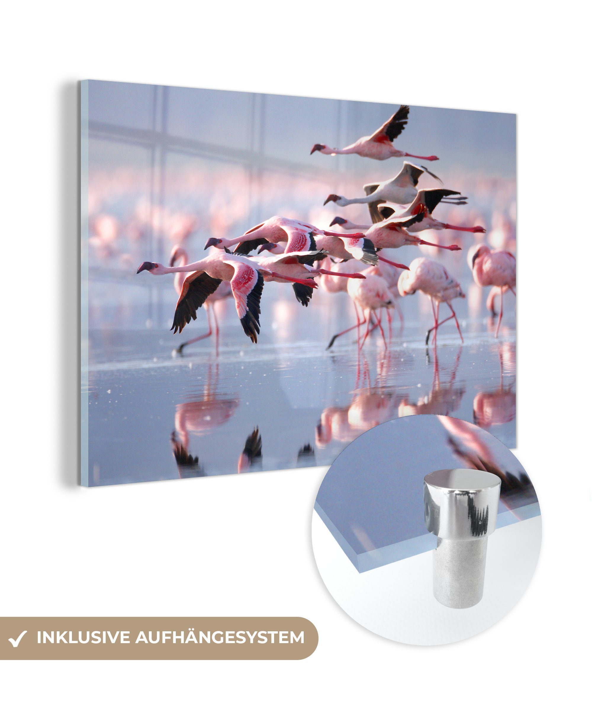 Flamingos Schlafzimmer Rosa (1 Wasser, Acrylglasbild MuchoWow Acrylglasbilder dem St), Wohnzimmer & auf