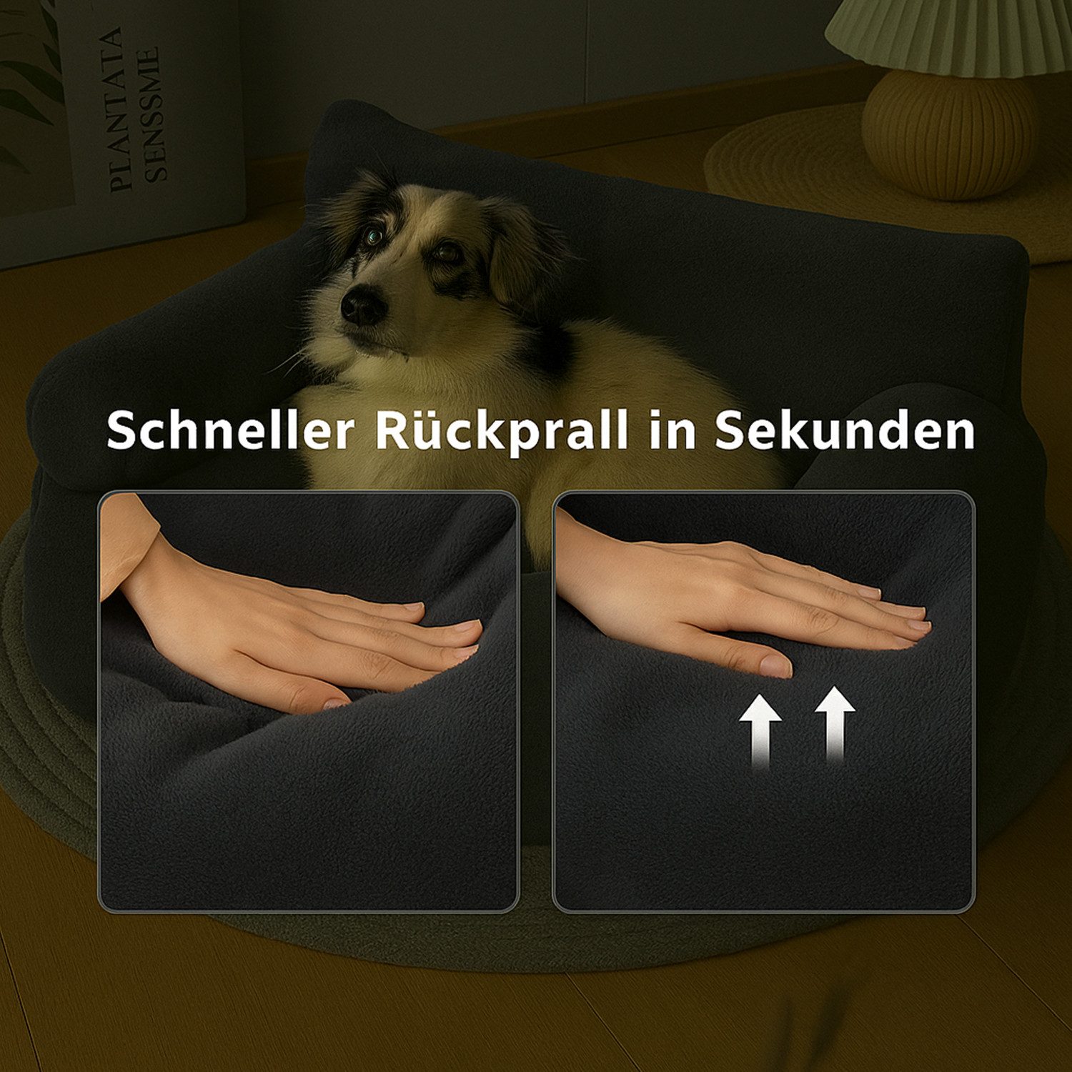 Roxlin Tierbett Hundebett Kleines Hundesofa Flauschig günstig online kaufen