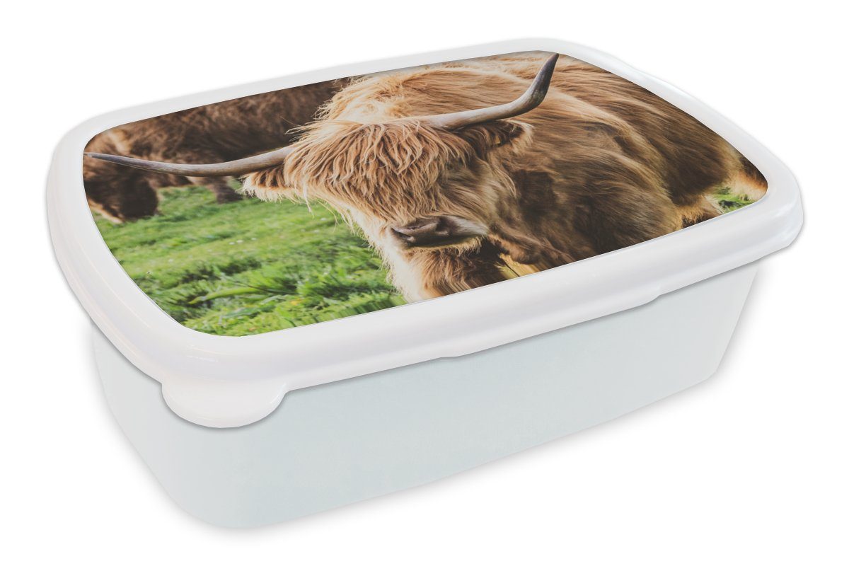MuchoWow Lunchbox Schottische Highlander - Tiere - Gras, Kunststoff, (2-tlg), Brotbox für Kinder und Erwachsene, Brotdose, für Jungs und Mädchen weiß