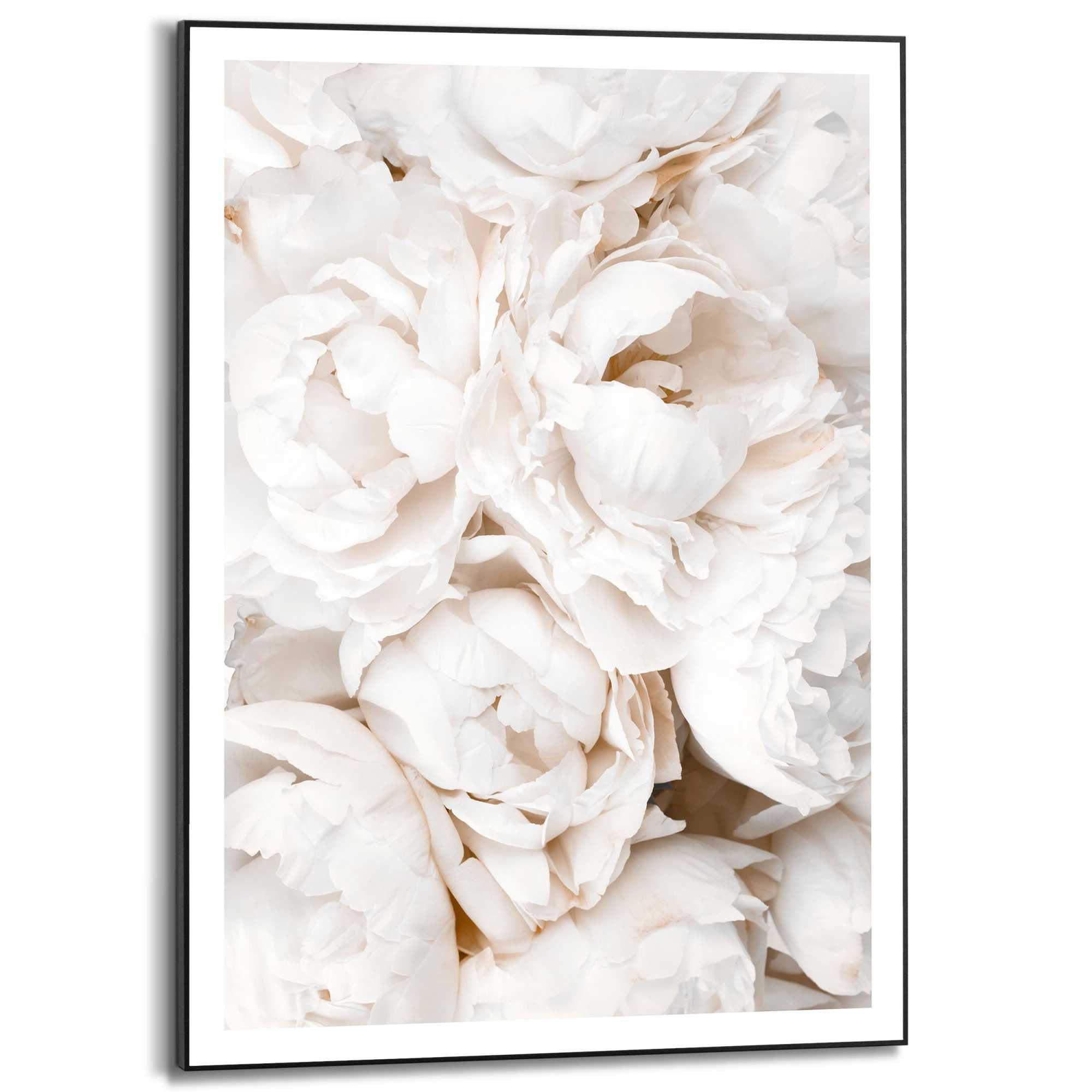 Reinders! Bild mit Rahmen White Roses günstig online kaufen