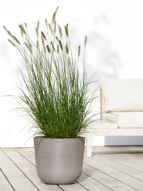 ECOPOTS Blumentopf Oslo 35 + Wassersystem Taupe, für innen und außen: frostsicher, bruchsicher und lichtbeständig