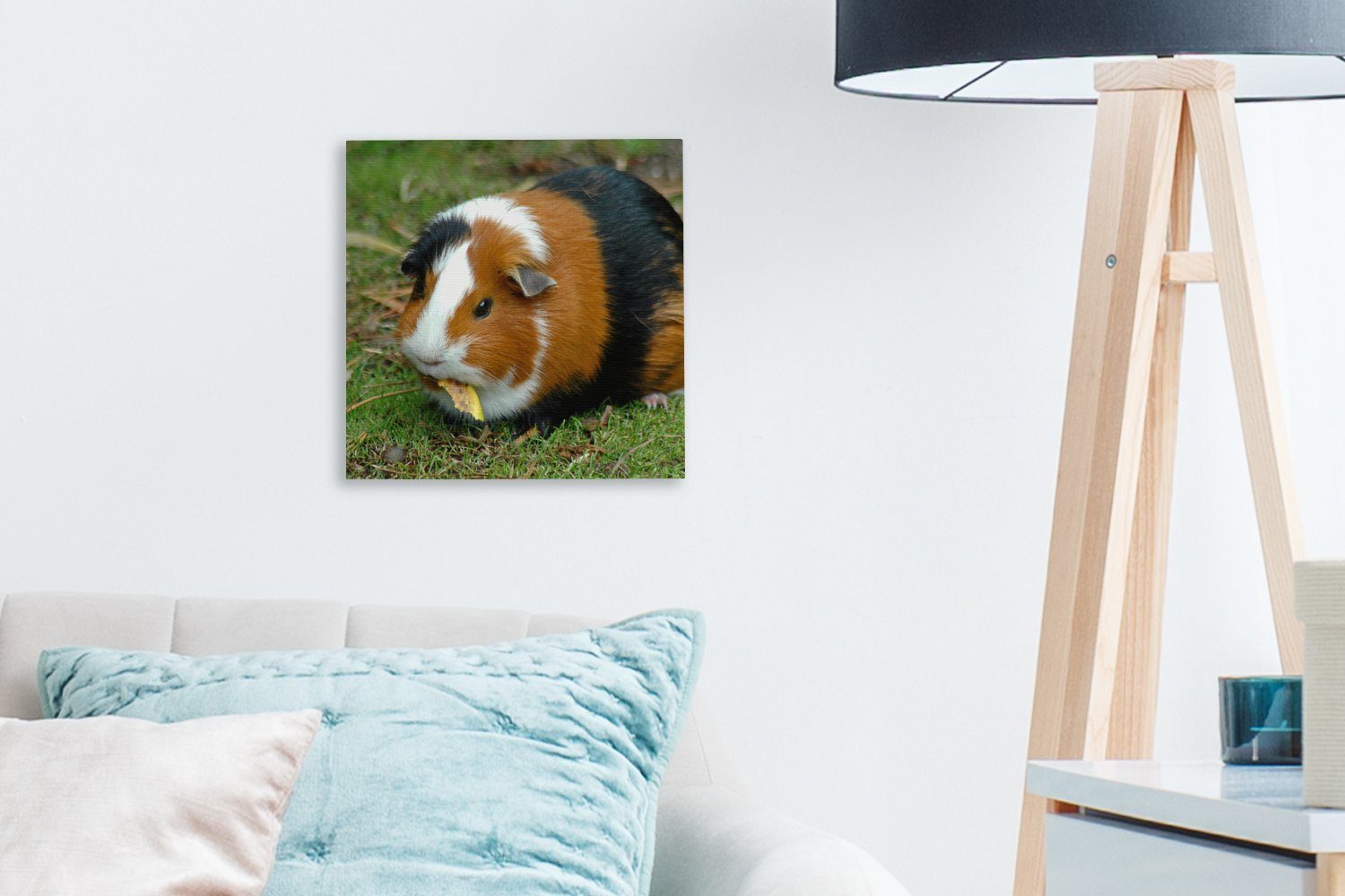 Meerschweinchen Wohnzimmer Leinwand (1 draußen, Schlafzimmer für OneMillionCanvasses® St), Bilder Leinwandbild