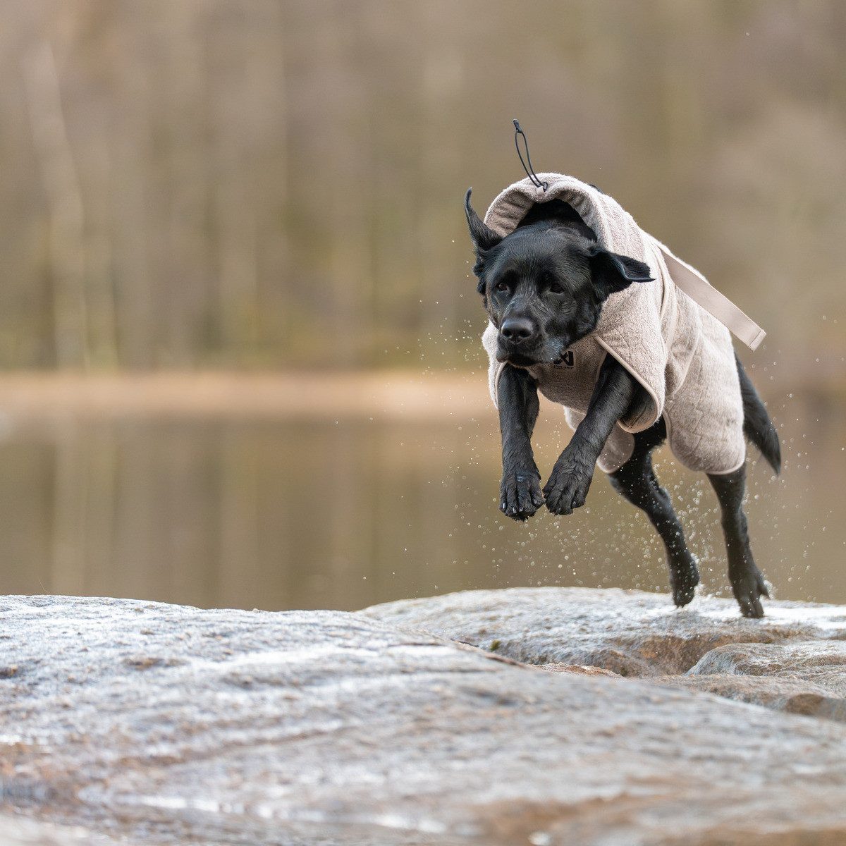 Non-stop dogwear Hundebademantel Bademantel Drying coat sand
