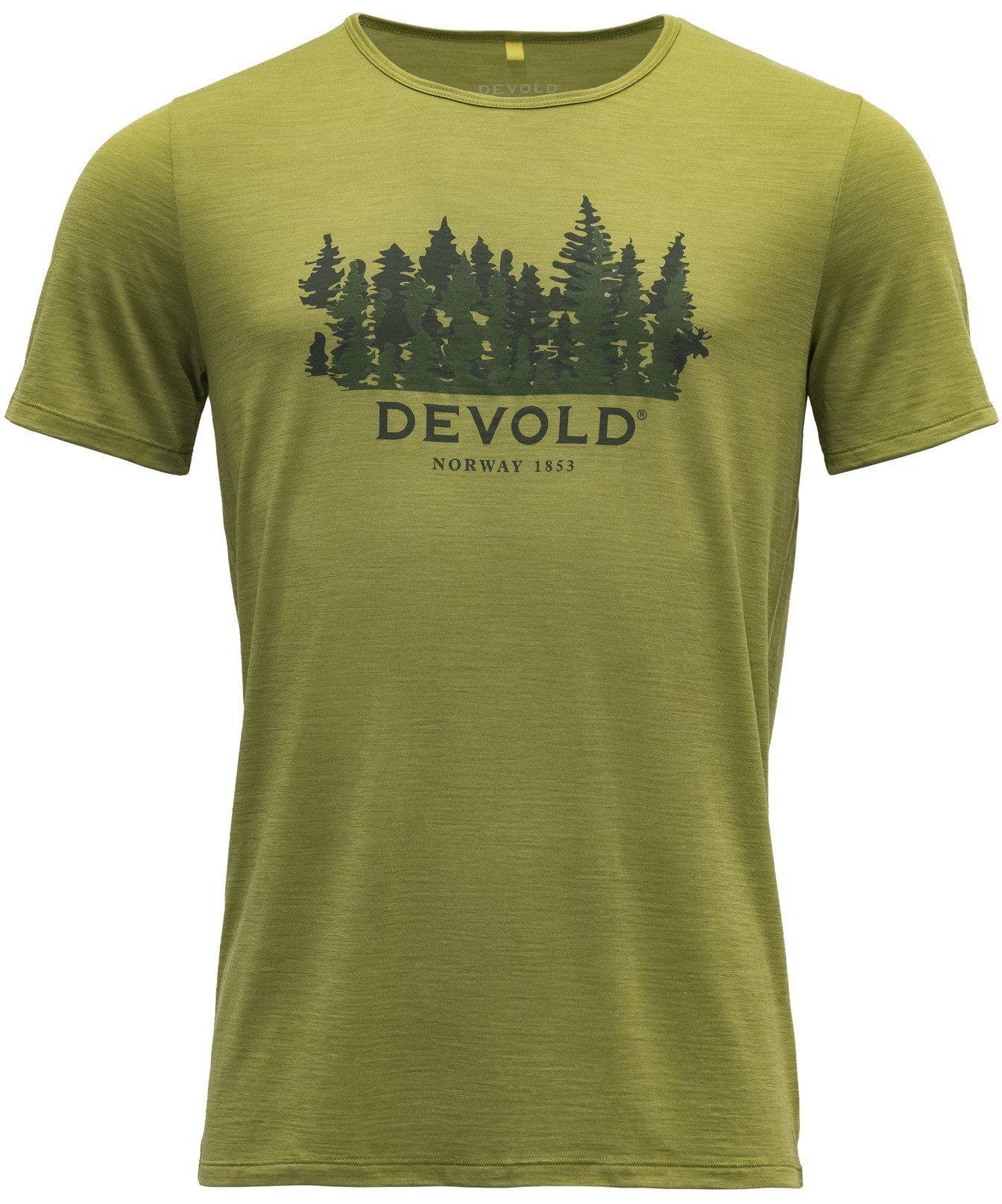 Forest T-Shirt Devold Man Tee Ornakken green