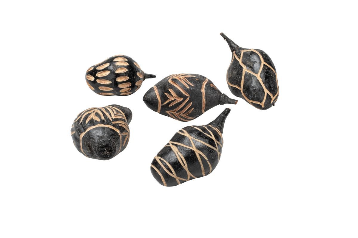 NaDeco Bastelnaturmaterial Baobab mini 5 Stück ca. 5-10 cm Mix Design in Schwarz