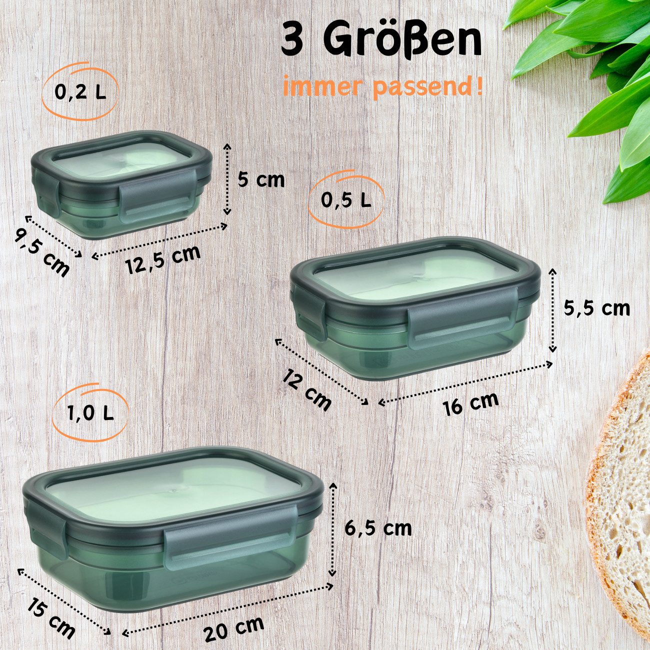 Engelland Frischhaltedose 3er Set Aufbewahrungsdosen mit Deckel, Vorratsdose, Frischhaltedose, Kunststoff/Silikon, (Vorteils-Set, 3-tlg., 0,2 L / 0,5 L / 1,0 L) – Bild 4 von 5