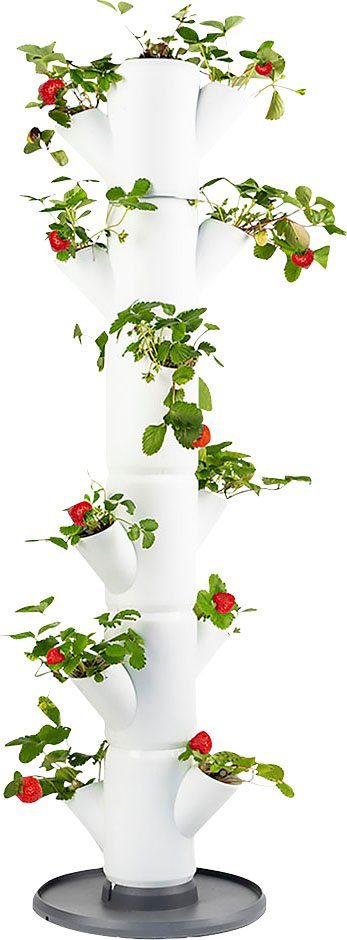 Gusta Garden Pflanzkübel SISSI STRAWBERRY Erdbeerbaum, 6 Etagen inkl. Untersetzer, Erdbeeren anbauen leicht gemacht weiß