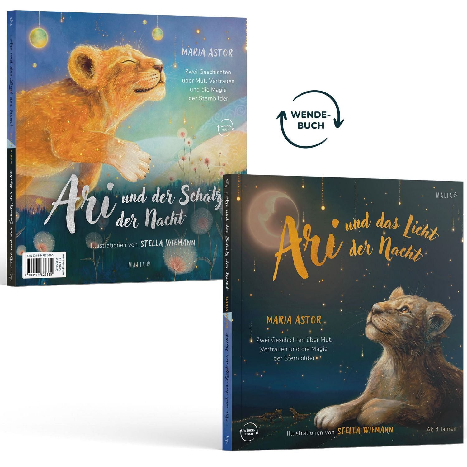 Kinderbuch Ari und das Licht der Nacht / Ari und der Schatz der Nacht Zweiteilige Maria Astor