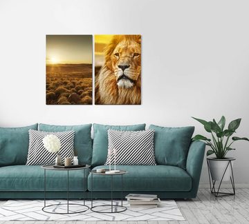 Sinus Art Leinwandbild 2 Bilder je 60x90cm Afrika Wildnis Löwe König Sonnenuntergang Safari Natur