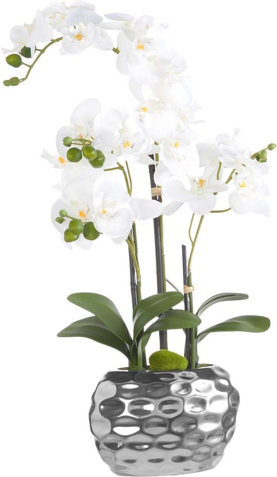 Kunstpflanze Orchidee Orchidee, Creativ green, Höhe 55 cm, Fest verankert  im silberfarbigen Keramiktopf