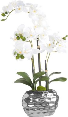 Kunstpflanze Orchidee Orchidee, Creativ green, Höhe 55 cm